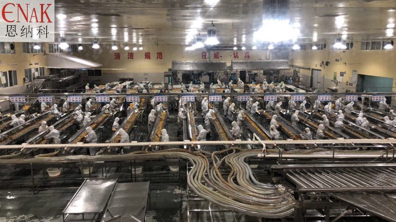 桔子分級(jí)挑選現(xiàn)場(chǎng)整線